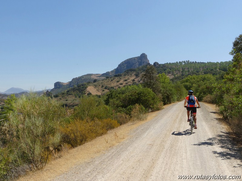 Via Verde de la Sierra: Puerto Serrano - Olvera