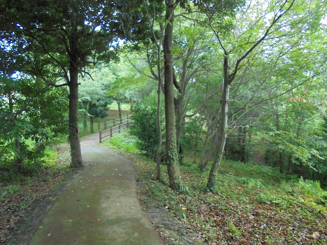 弥生の森の遊歩道