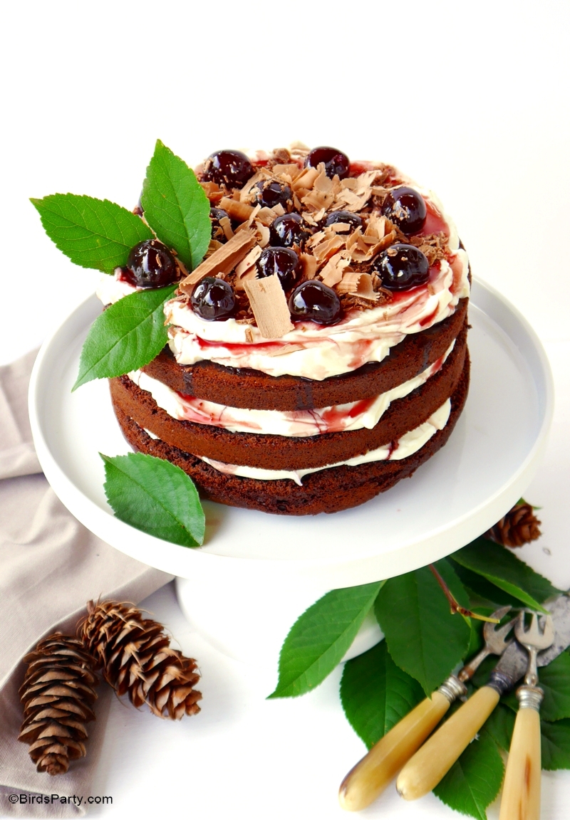 Easy Black Forest Gateau Cake Recipe - BirdsParty.com