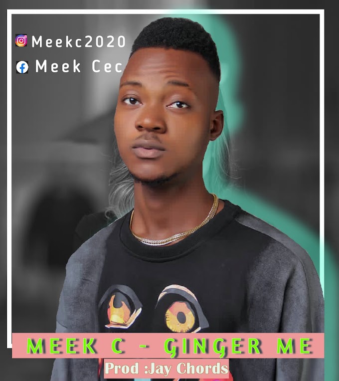 MEEK C_ GINGER ME