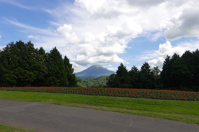 鳥取県西伯郡南部町鶴田　とっとり花回廊　花の丘