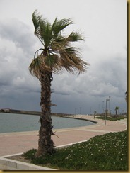 Beach walkway