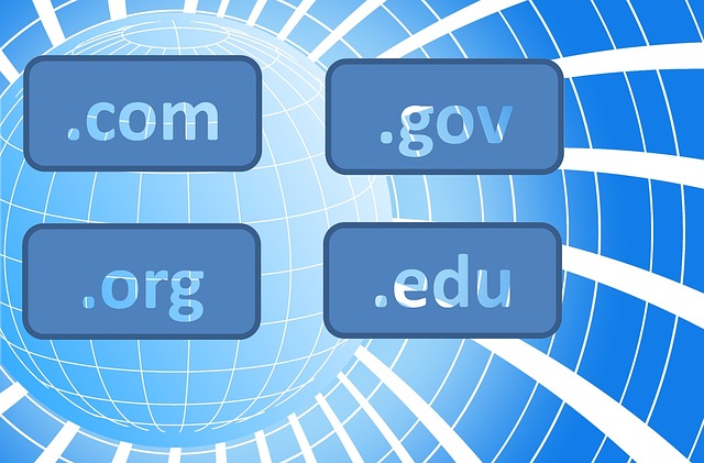 Why Every Business Needs a Unique Domain Name