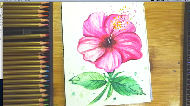 How to draw Watercolor and Water-soluble color pencil Hibiscus flower step by step tutorial for beginner