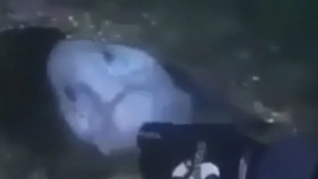 Close up of the Wolf Eel fish while it's still in it's undersea hideout.
