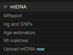 YFull mtDNA menu