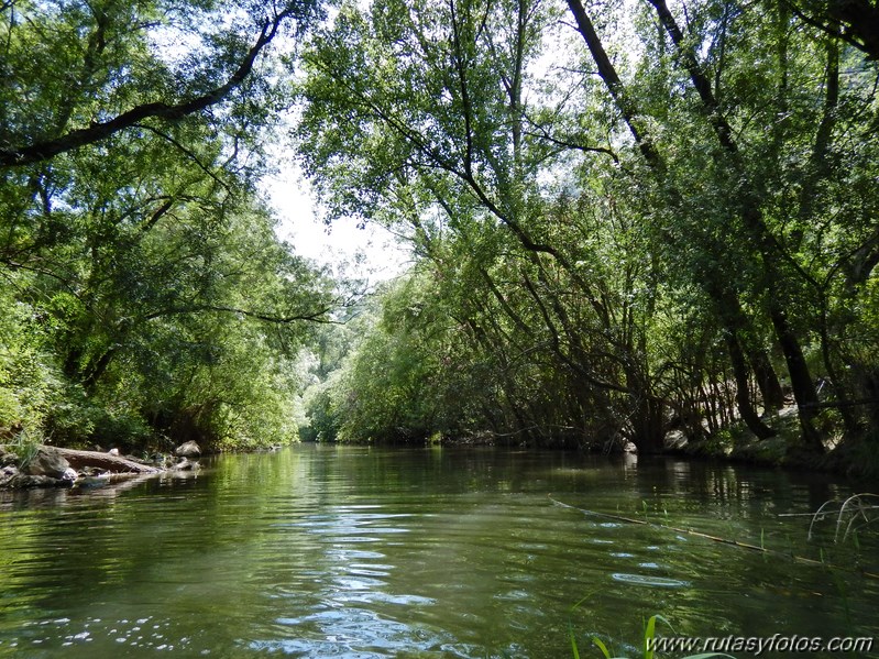 Acuática Benaoján - Jimera de Líbar por el río Guadiaro