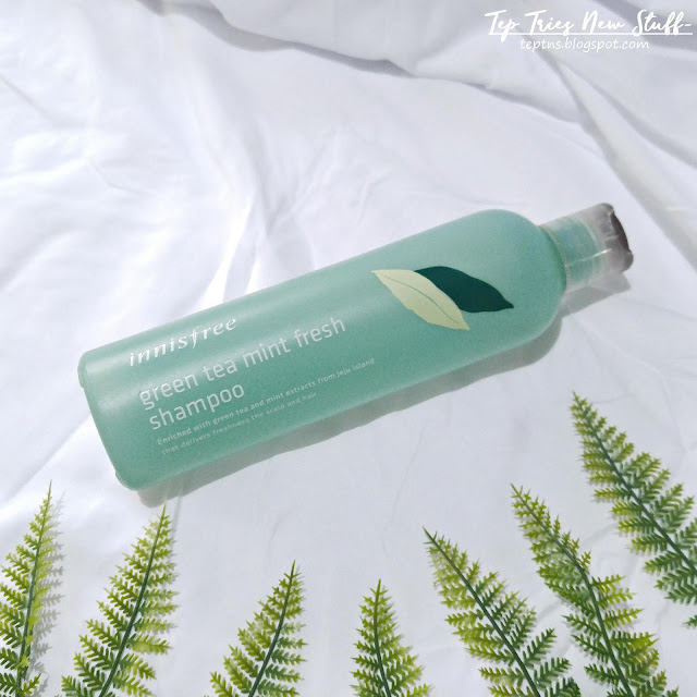 Innisfree Green Tea Mint Fresh Shampoo Review