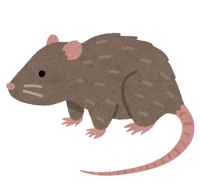 ドブネズミのイラスト かわいいフリー素材集 いらすとや