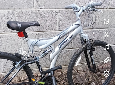 Stolen Bicycle - Dunlop Mountain Bike