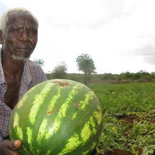 Bargaining, Farmer