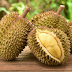 Durian Fruit “ King of Fruits ”