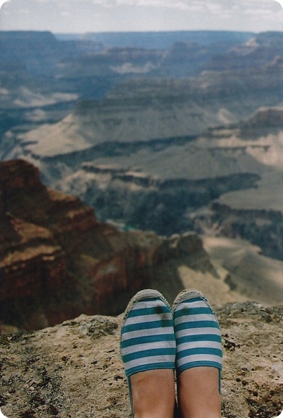 Image via Shelter Co. Tumblr