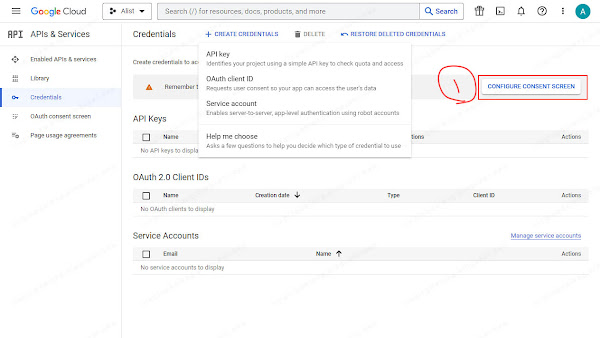 Get client_id client_secret issued from Google Cloud Platform