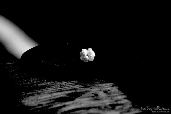 bw_20111011_greenfilter