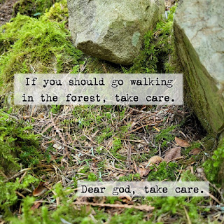 If you should go walking in the forest, take care. Dear god, take care.
