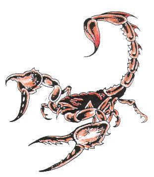 cool Scorpion tattoo