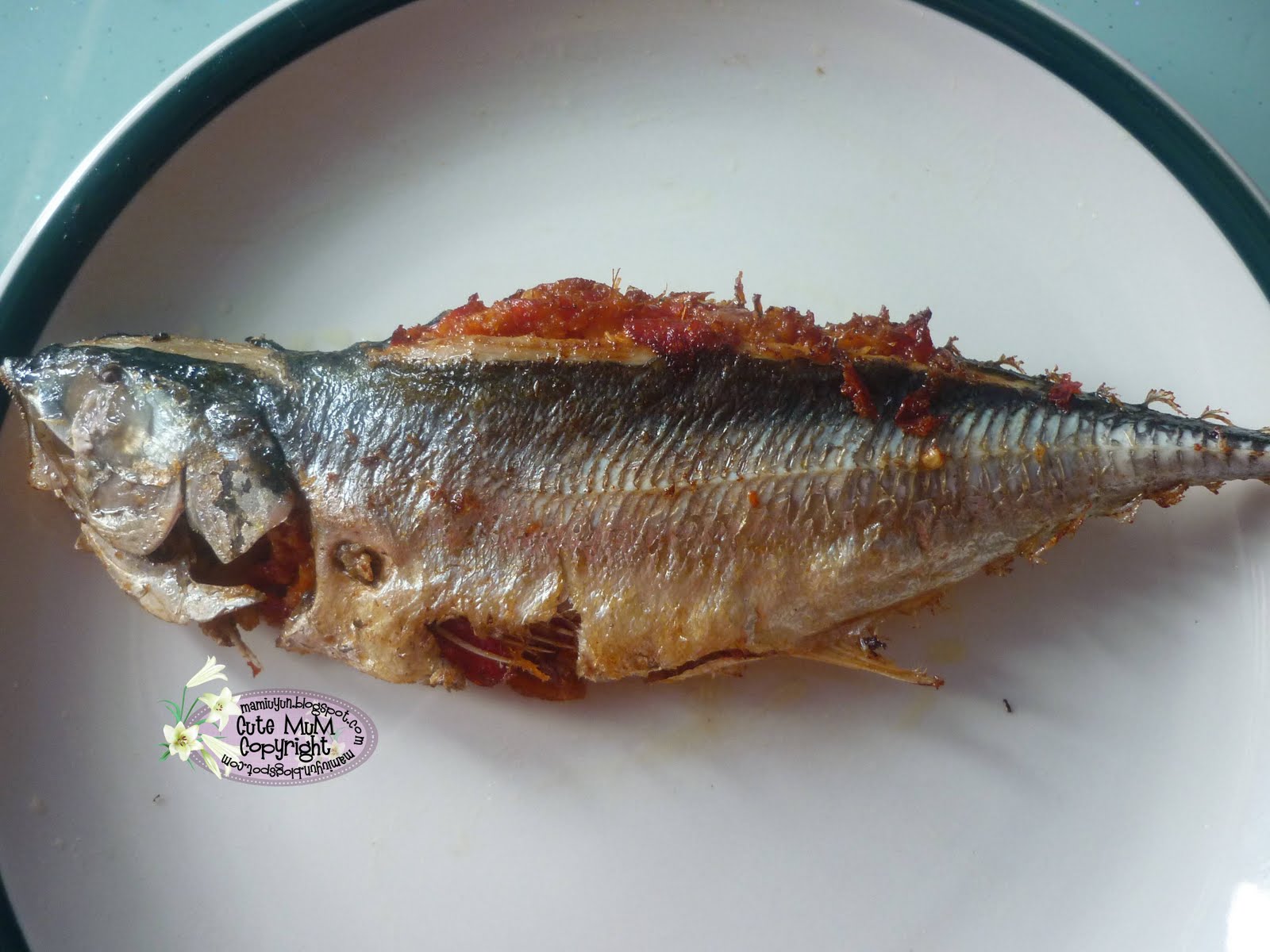 Resepi Ikan Cencaru Sumbat Versi Kelantan - Contoh Rim