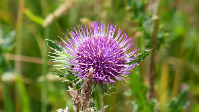 P1100824