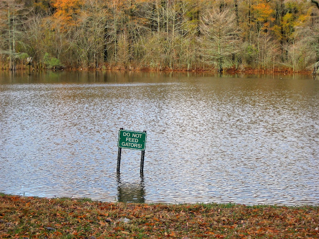 Don't Feed the Gators. Leroy Percy State Park. Mississippi. December 2011. Credit: Mzuriana.