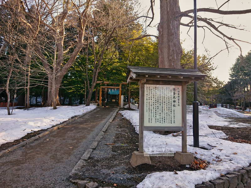 北海道神宮,北海道景點,開拓神社