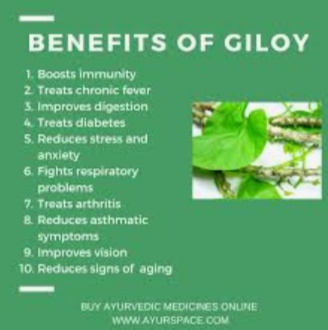 Giloy stem Ayurvedic medicine,Giloy stem and its health benefits, Giloy and Its Amazing benefits, Giloy videos, Benefits of Giloy,