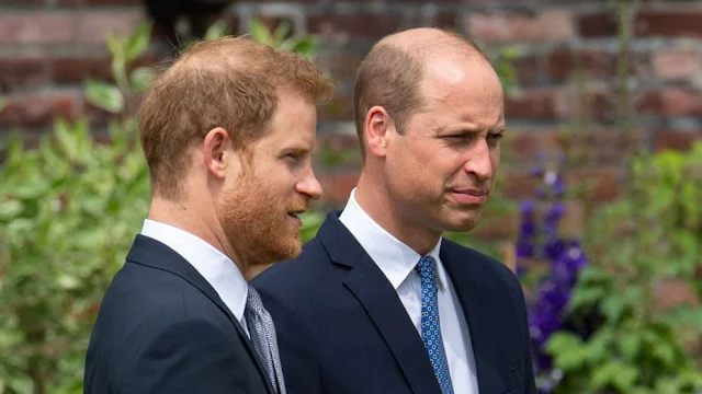 Prince William Finds a New Brother Amid Prince Harry Feud