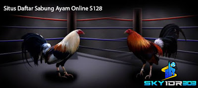 Digmaan Situs Judi Sabung Ayam Online Sv388 & S128 Teraman