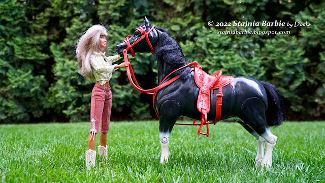 Play BIG horse and Barbie