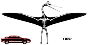 Quetzalcoatlus