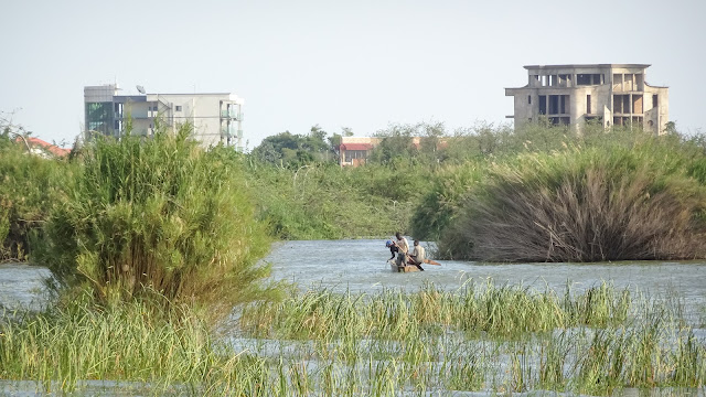 Carefully about the hippos as they are everywhere