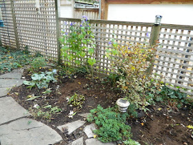 Toronto Gardening Services Leslieville Backyard Garden Fall Clean up after by Paul Jung