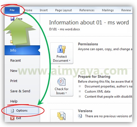  Gambar: Mengakses Options Microsoft Word 2010