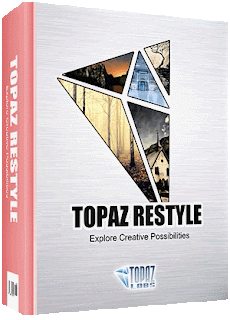 Topaz Restyle for free