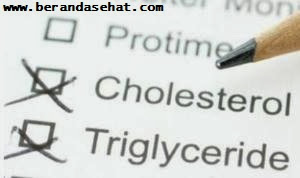 hal-penting-menurunkan-kolesterol