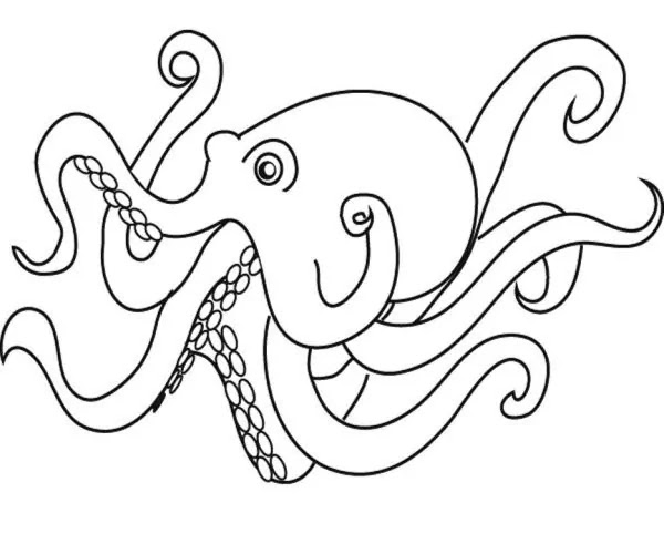 Octopus Coloring Pages Printable Pdf
