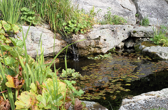 Day Trip From NYC Idea - Stonecrop Gardens, Cold Spring, New York - on “The Wind of Inspiration” Blog #outfit #look #style #fashion #personalstyle #fashionblog #fashionblogger #weekend #stonecrop #stonecropgardens #daytrip