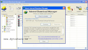 IDM 6.17 Build 2 Terbaru full patch