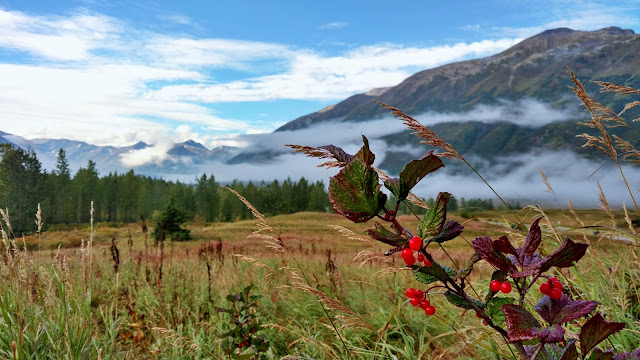 Turnagain-Pass-Kenai-Seward-Alaska