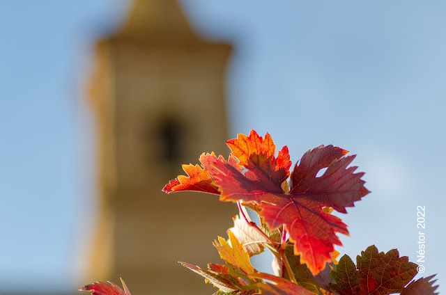 Ventosa La Rioja