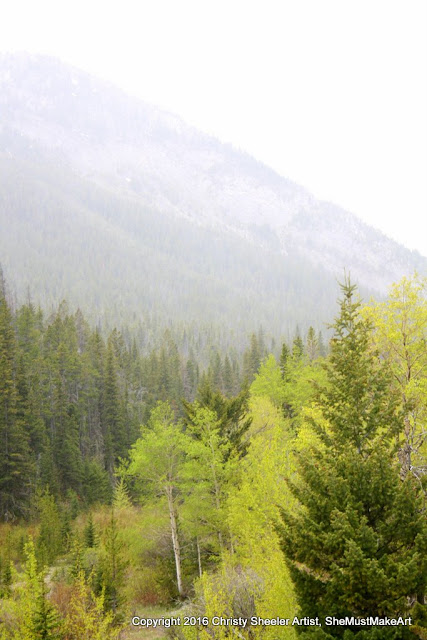 A fine misting rain begins to move in like a fog, the view of trees is fading and softening as we hike back to camp.