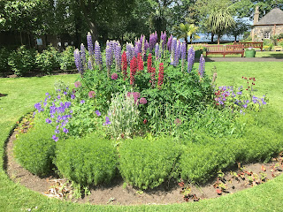 A circle of flowers and bushes.