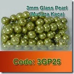 3GP25 copy