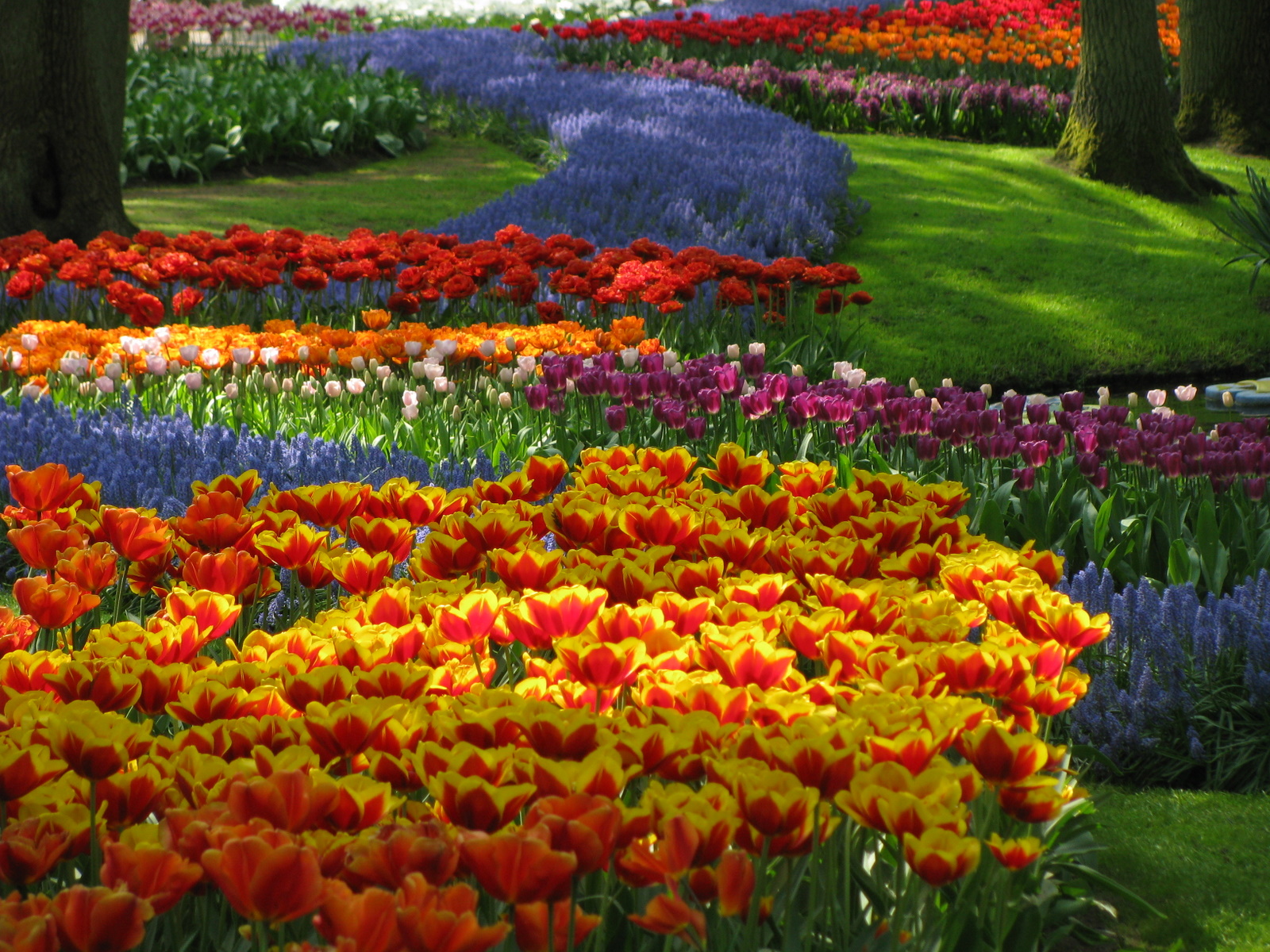 Amazing Magazine: The world's largest flower garden ...