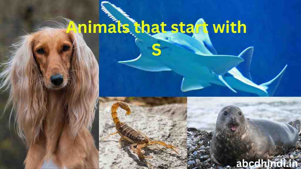 Animals that start with s