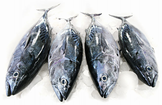 Fakta om fett - Sunt Fett