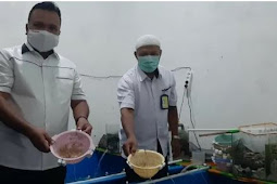 Edi Faryadi Ungkap Ditreskrimsus Polda Jambi Gagalkan Penyelundupan 44.800 Ekor Benih Lobster