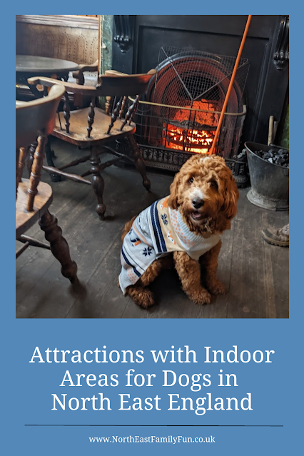 Indoor Dog Friendly Attractions in North East England