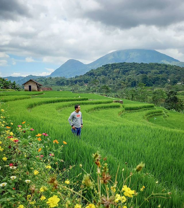 view cafe sabin trawas