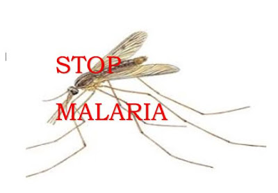 Pedoman Surveilans Malaria,Akreditasi Puskesmas,sop,